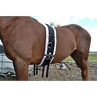 Shires Nylon Lunge Roller With Fleece Padding in Black 