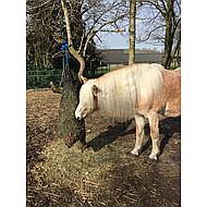 Shires Greedy Feeder Net Black 120cm