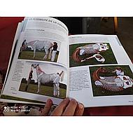 Livre Anatomie du cheval et performance, Un guide pratique pour