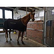 Horseware Sportzvibe Decke Pferd