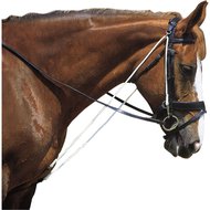 Other Auxiliary Reins