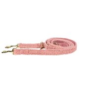 Kentucky Dog Leash – KY for KY Store