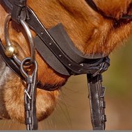 Bridle Covers