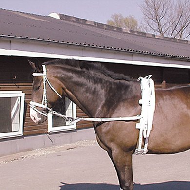 voorbeeld Parasiet bestuurder Bijzetteugels voor jouw paard online kopen? | Agradi.nl