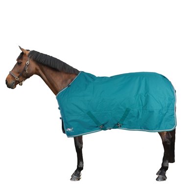 Tempest Plus by Shires Outdoor 200Gr Teal