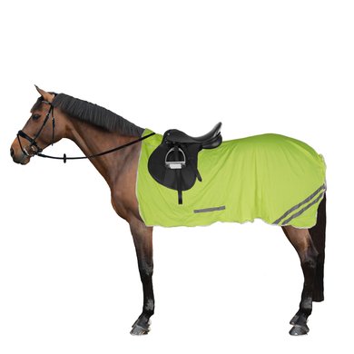 RugBe by Covalliero Reflective Safety Blanket