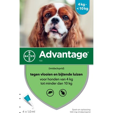 Advantage 100 Spot-on Hond 4-10kg 4 Pipetten