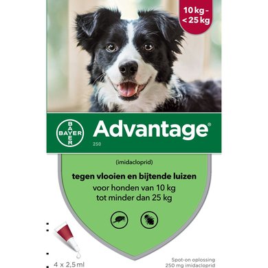 Advantage 250 Spot-On Hond 10-25kg 4 Pipetten