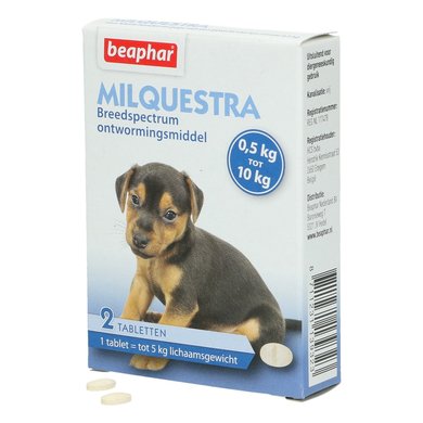 Milquestra vermifuge comprimés chien 5+ Kg 4 comprimés 