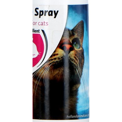 Beeztees, Herbe à chat en spray catnip