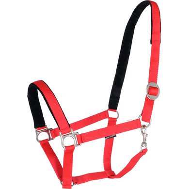 Harry's Horse Halster Padded Rood