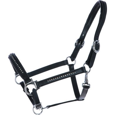 Harry's Horse Head Collar Finesse Crystal Leather Black