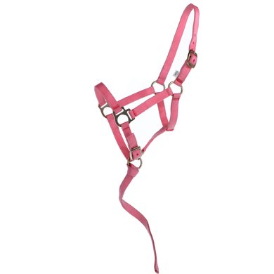Norton Foal Halter with a Line Pink Foal