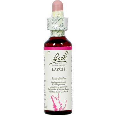 Bach Larch/Larix decidua 20ml