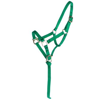 Norton Foal Halter with a Line Lightgreen Foal