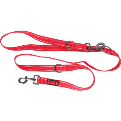 kong dog leashes