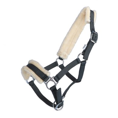 Norton Halter with Synthetic Sheepskin Grey Foal