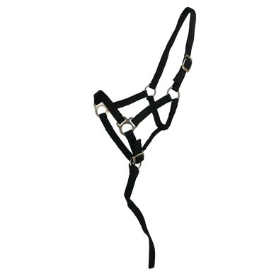 Norton Foal Halter with a Line Black Foal