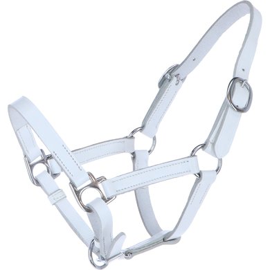 HB Foal Halter Leather White