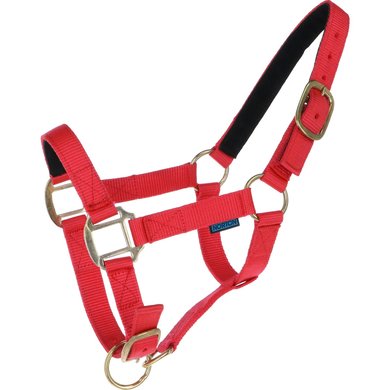 Norton Halter Nylon with Leather Lined Red