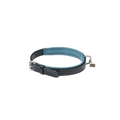 LeMieux Halsband Windsor Padded Zwart/Blauw