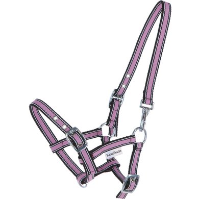 Kavalkade Foal and Yearling halter Pink