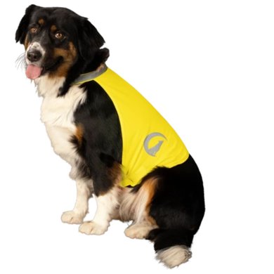Excellent Dog Safety Vest Nightwalk Yellow