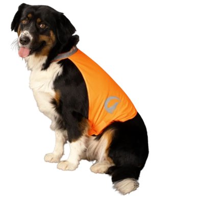Excellent Dog Safety Vest Nightwalk Orange