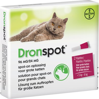 Bayer Dronspot Grote Kat 96 mg/24 mg >5 - 8 kg 2 Pipetten