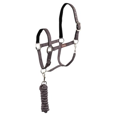 Premiere Head Collar Set with a Carabiner Shark