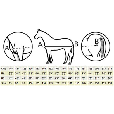 Afbeeldingsresultaat voor dekenmaat paarden tabel