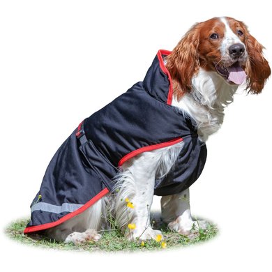 Bucas Sports Line Dog Cooler Schwarz/Rot