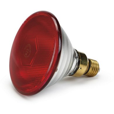Olba Infrarood Warmtelamp Par38 175w