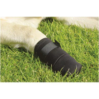 Beeztees Protective Shoes for Dogs Black