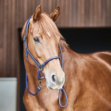 Catago Leather Halter Navy - Agradi.com