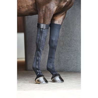 Catago Socks FIR-Tech Front Legs Black