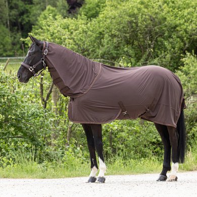 Covalliero Fly Rug Chocolate