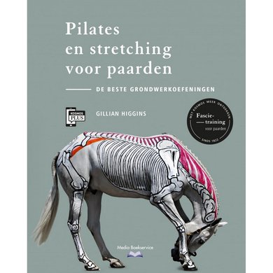 Pilates en stretching voor paarden