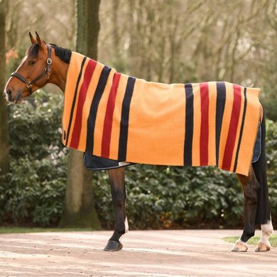 Dominick Wool Blanket Golden Stripe Newmarket 180x210