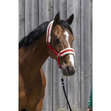 Riding World Halster Synthetic Fur Rood
