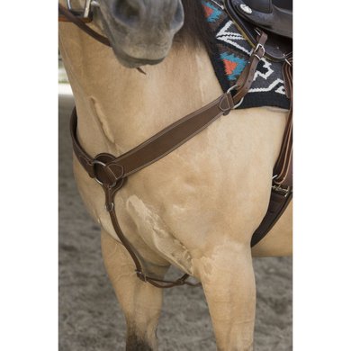 Westride Front Harness Billy Choco Full