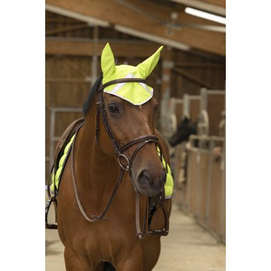 EQUITHÈME Oornetje High Visibility Fluor Geel Pony