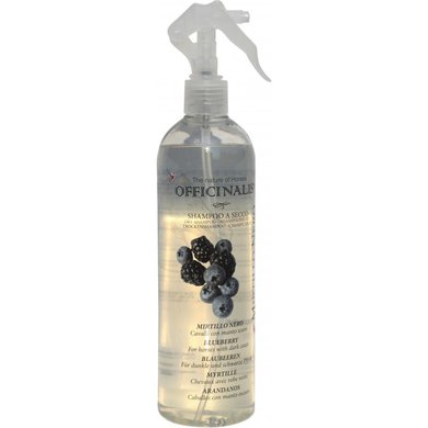 Officinalis Shampooing Sec Blueberry 500ml