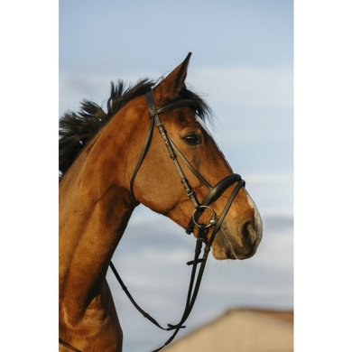 Riding World Bridle with Combined Noseband Black