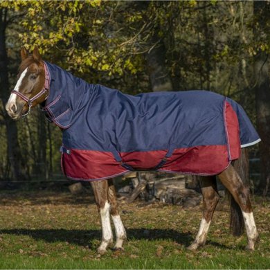 EQUITHÈME Outdoor Rug Tyrex 1200D 200g with a Hood Navy/Bordeaux