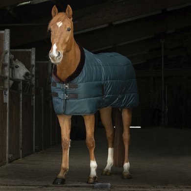 EQUITHÈME Stable Rug Teddy 200g Green/Brown