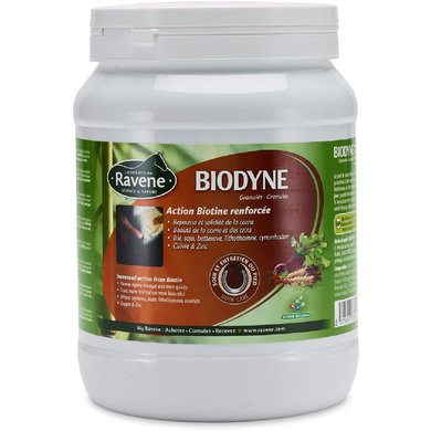 Ravene Biodyne 1kg