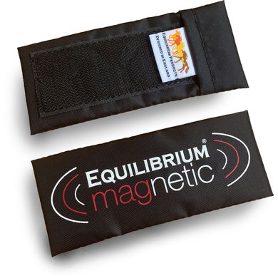 Equilibrium Magneten Vitaflex Spare Kort 4x