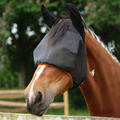 Equilibrium Fly Mask Field Relief Midi with Ears Black/Orange