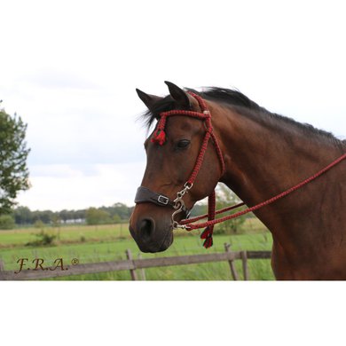 F.R.A. Classic Bridle Bodanza Cotton with Removable Reins Red/Green Cob/Full